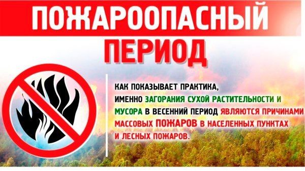 ���� ������: ������� ��� ��������� � ����� �������� ������������ � �������-������ ������������� ������ 2024 ����