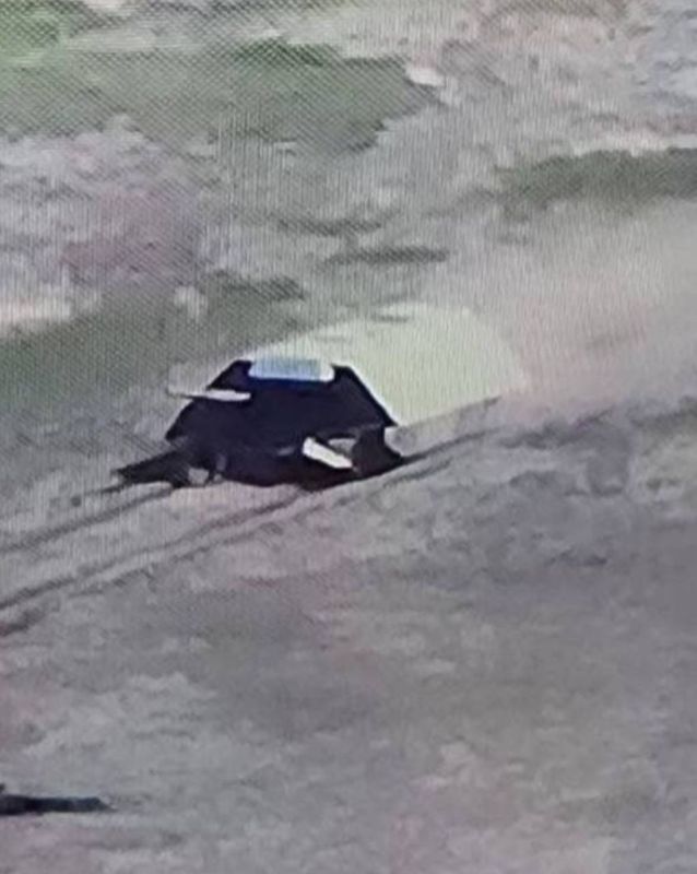 ����� �������������. ��� ����� ����������� ����� ����������-����������� ����������� ����������� ����� ���� ��� ������� ��������