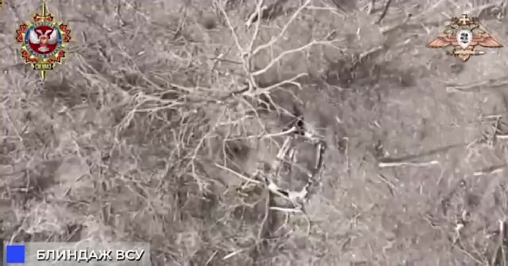 ������� �������: ������� ������ ���������� �������� � ��������� �� ����������� ������������ ������