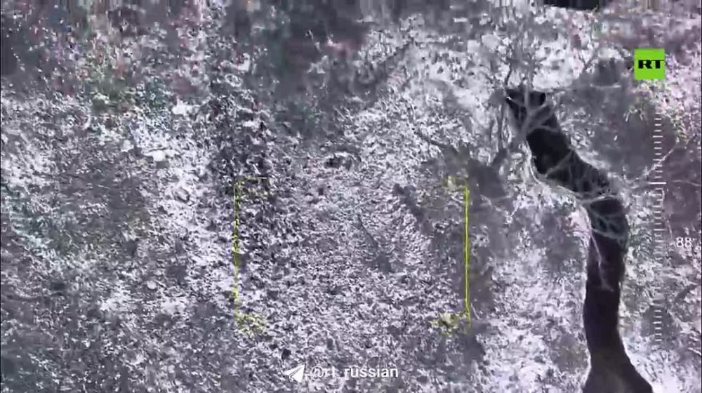 � ������, ������, �� �����, �� �����!