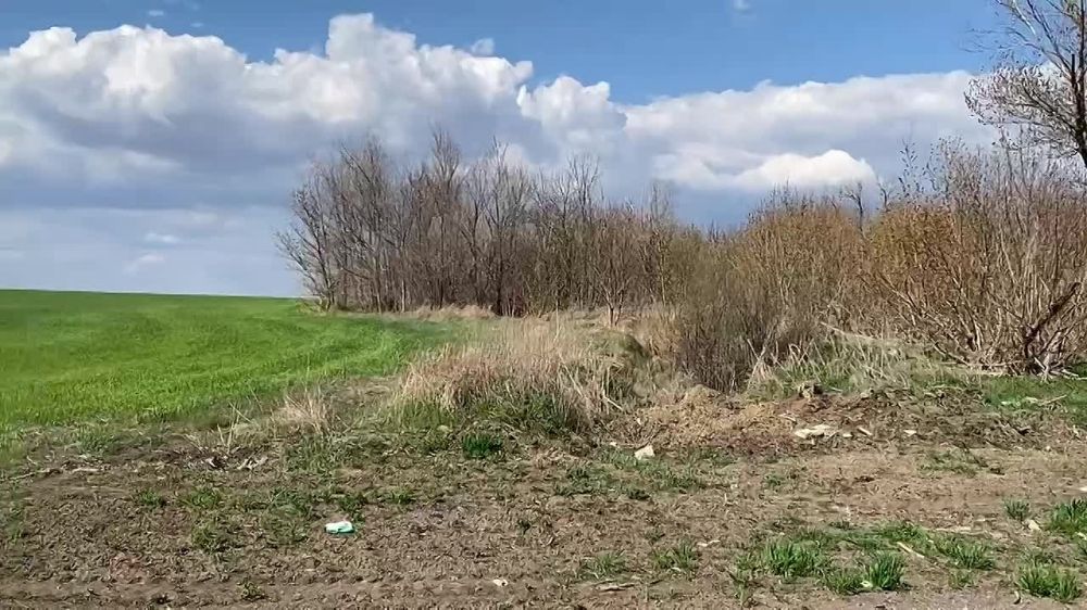 Дмитрий Стешин: Что неприятно зацепило в оживающем Мариуполе? Не поверите - объем восстановленного