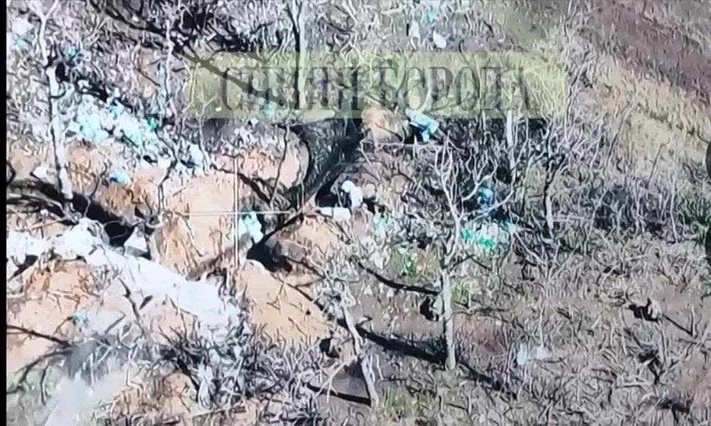 Борис Рожин: Штурм позиций ВСУ севернее Соледара гвардейцами-десантниками 106 дивизии ВДВ