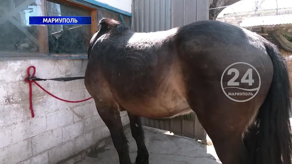 ���� ������ ����������� �������� �� ���������� ���� �������� ������ �������������� ������� �����! 09.04.2024