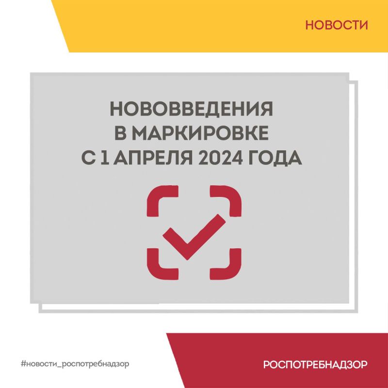 ������������ � ���������� � 1 ������ 2024 ����