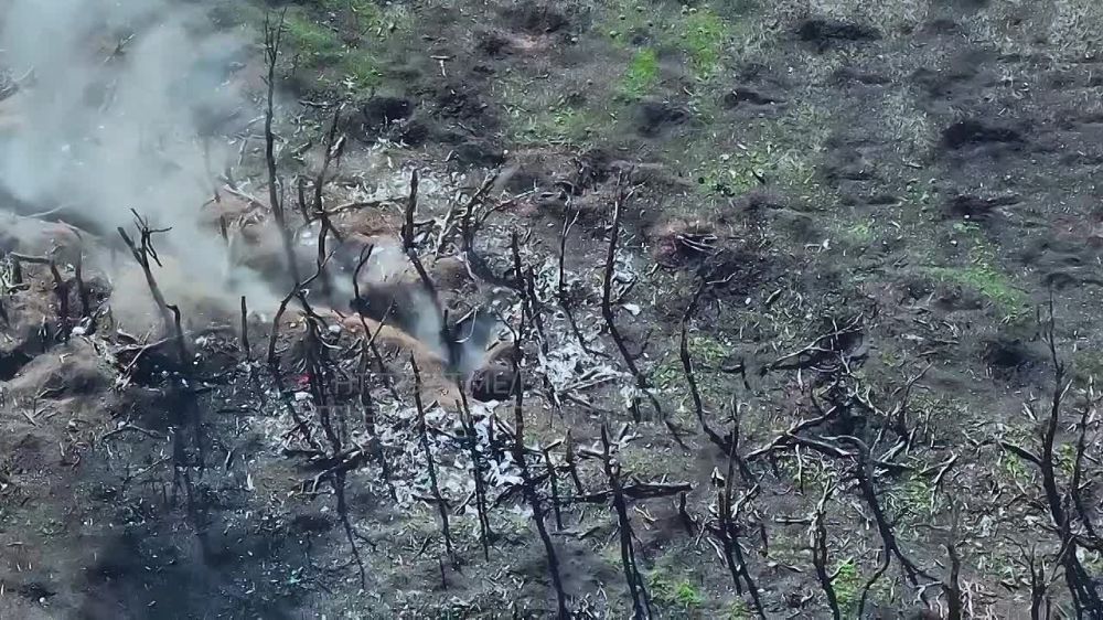 ������� �������: ��������� �����������.������ ������ FPV ������� ������� 6� �������� �������