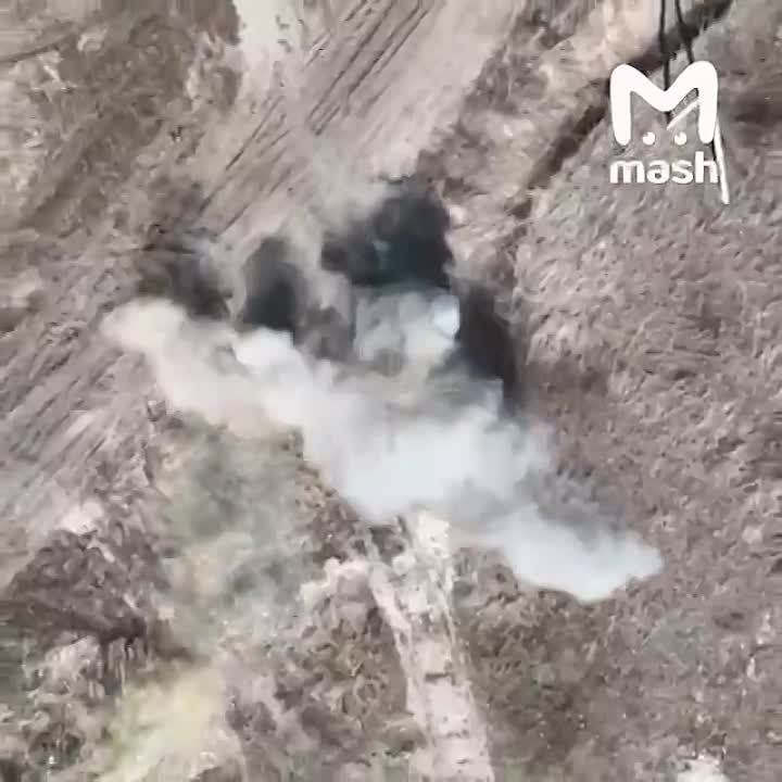 ��������� �������: ������������ ���������������� ������� ��������� MUTT � ������� �������� 8x8 �� ������������ ��������...