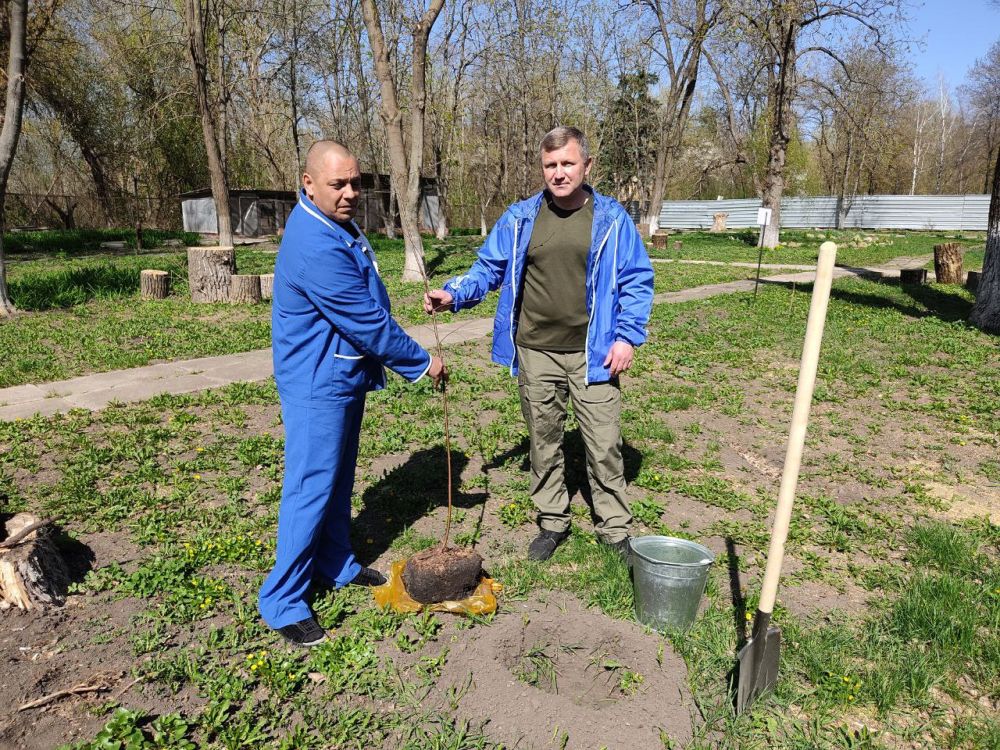 Лесоводы Республики продолжают работы по посадке лесных насаждений, в том числе в рамках Международной акции "Сад памяти"