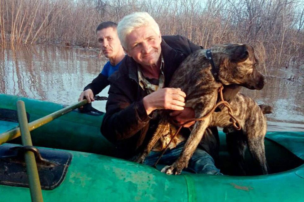 ��������� �� ��� �� ����� ������� �� ��������� ����� �������� �������� � ���� ���������� � �����