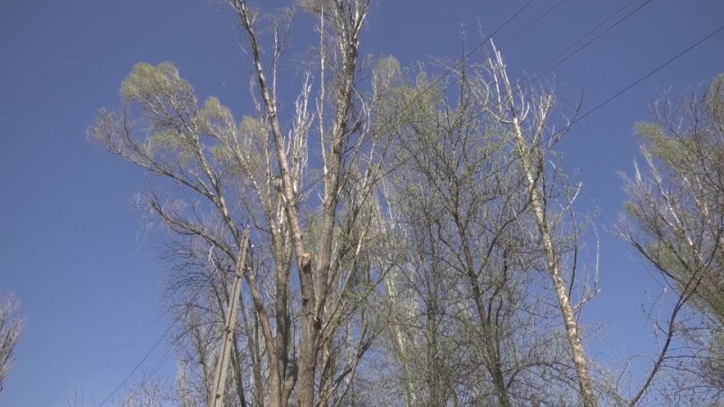 4 ������ �� ����� ������ ����� ����� ��� ������ �������� ��������� ��������� �� ������� ������ �� ������� ��������������� ������ �� ������� ������