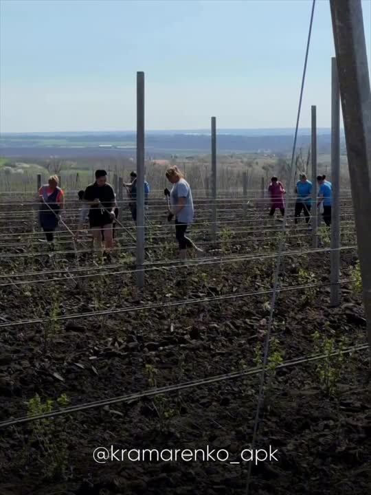 ����� ����������: ������� � ������������ ������, ������� ������������� ���. ������������ ����������� ���������, ��� � ����...