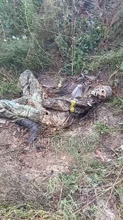 ������ �������: ���� �� ��� ��������� ��������� ����������� �������