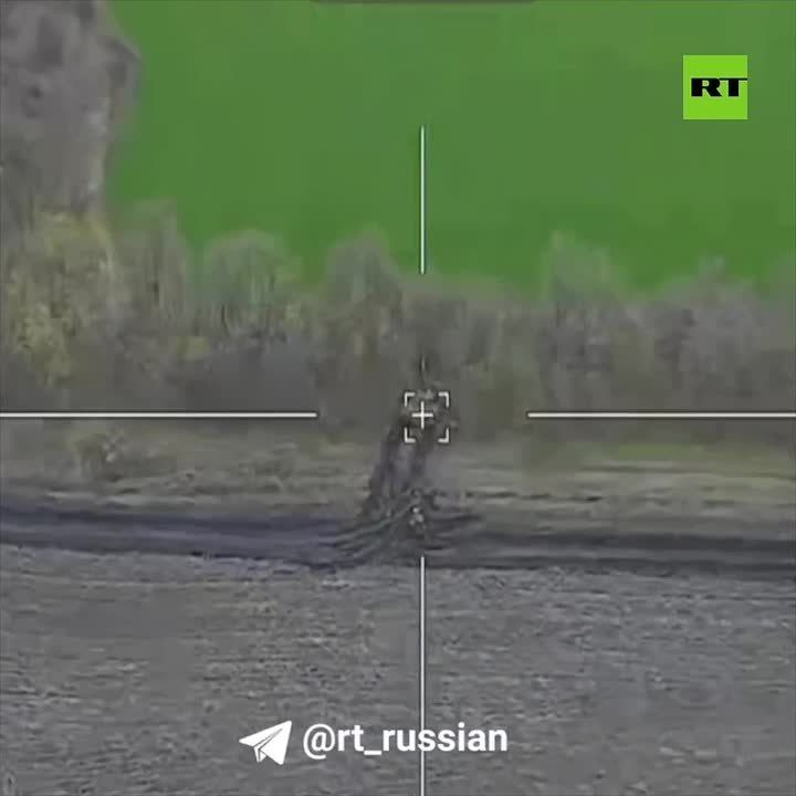 ����������� ����� ��� �� ���������� �����������: ������� �������� � ����������, ������ �� ����� �� ���������� ��������