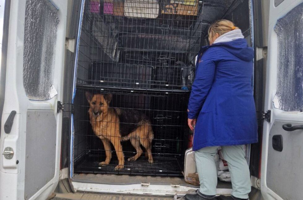 ���������� ������������ ���������� �� ����� � ��������, ��� ������ ����������� ��� �������