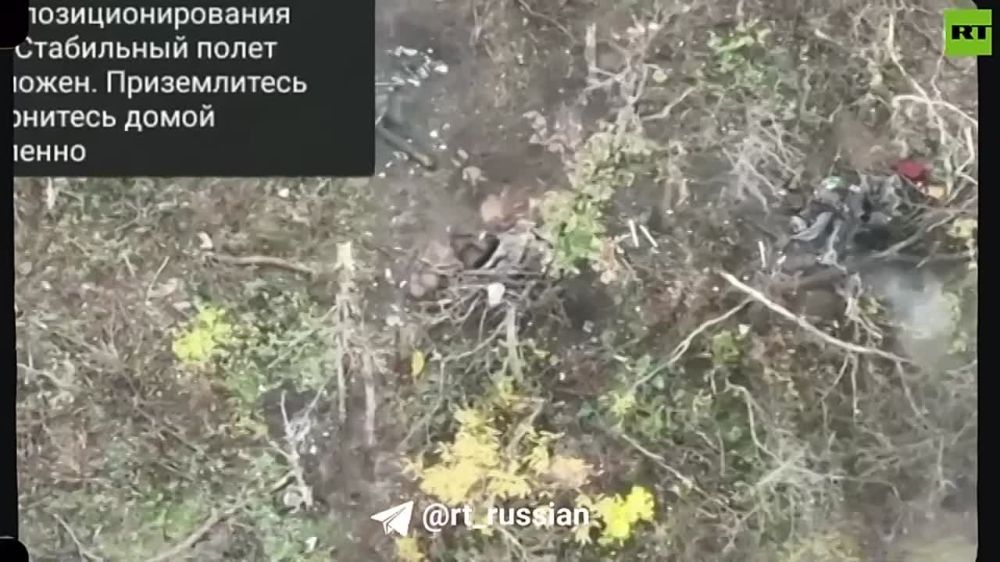 ��������� � ���������. ����� �������������� ����� 1486 � ������ ����� �������� ������ �� ��������� ����������� �� ������� � ��������� (���)