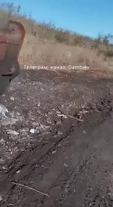 ������ �������: ��� ������������ � ������ �.�