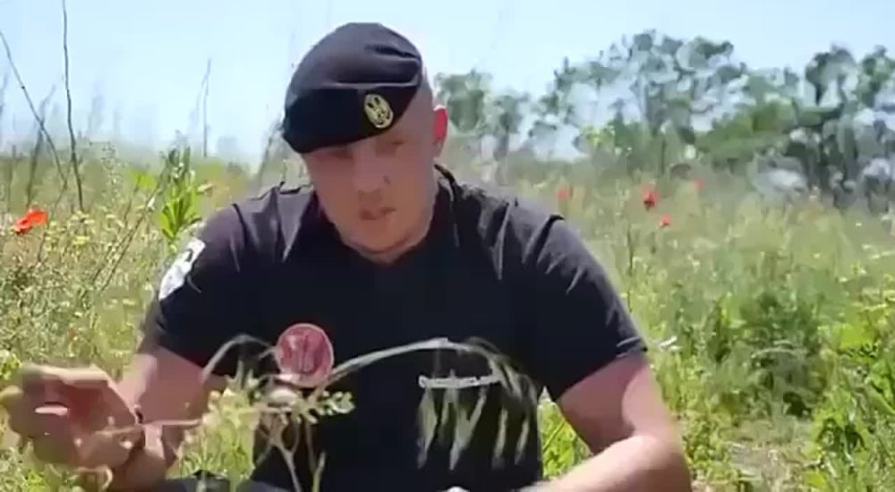 ���� ��������: 10 ��� ����� � �������� �������� �����