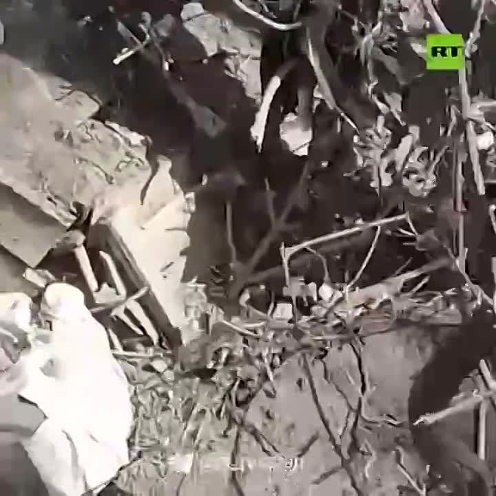 �� ���������� ����������� ������������ �������� ����� � ����