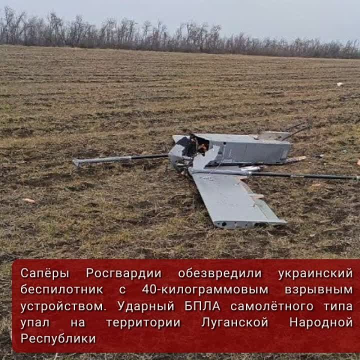#���������������. ����� ��� ����� ������� �������� ������������ � ���� ��� ������������� ���������� ���������� ���������...