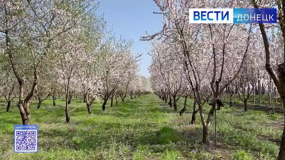 ����� 13 ����� ���������� �������� �������� � ����� ��� ����������