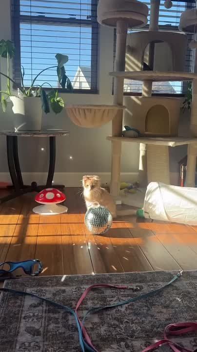 ������ ����! ���� �������, ������� � ������� ��� � ����� ������ � �������! � ����� ��� ����� ������! ���� ������ ���������!
