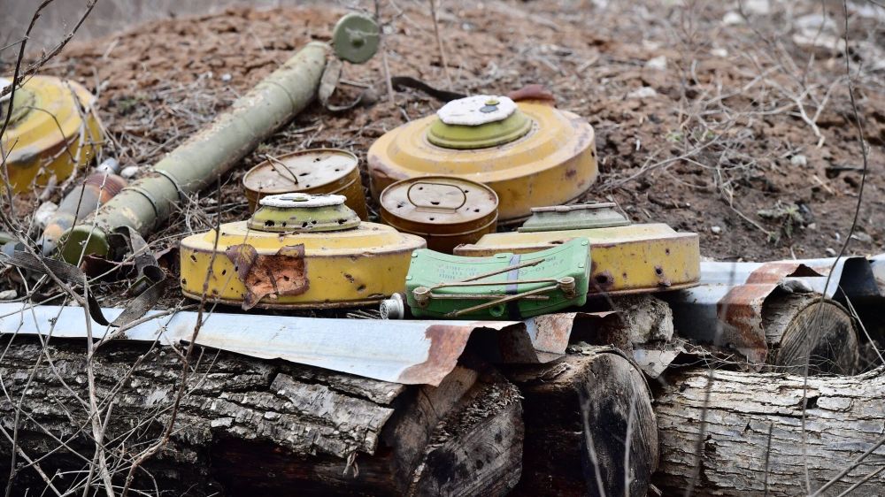 �������� ����� � ������������ ����: ������� ����� �������, ��� ������ �� �� ���������� ��������� ����