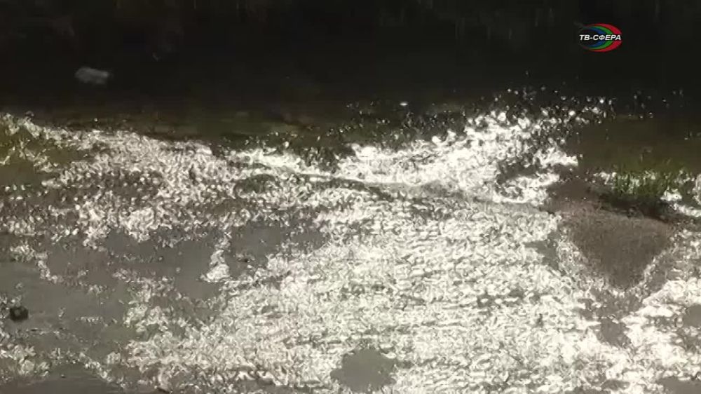 �������� ���������� ���������