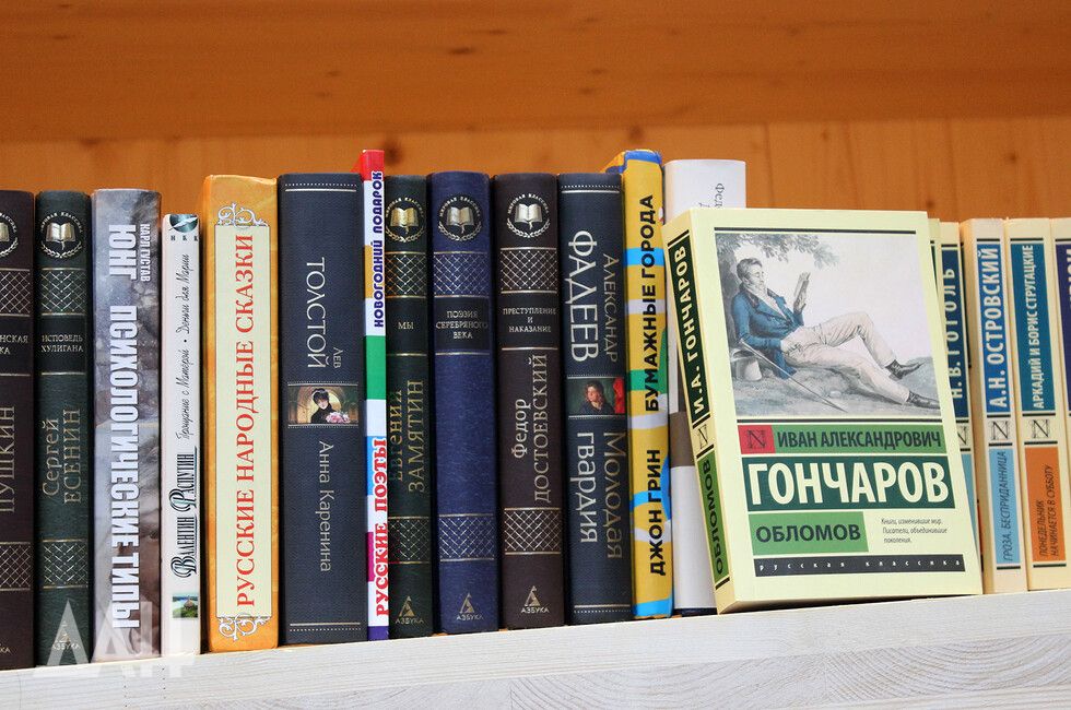 ����� ������������ ������ ������� 81 ���������� ���