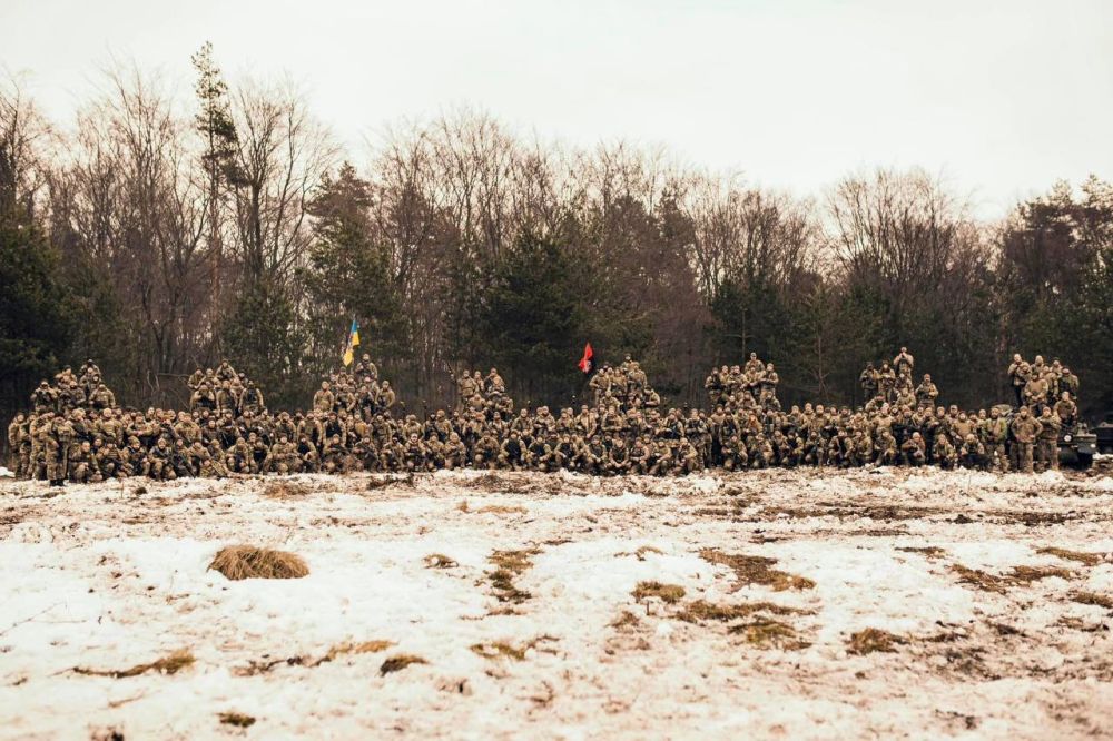 ����� �����: ����������� ��� ���������������� ���� 67-� ���������������� �������, ������� ������� �� ������ "������� �������"