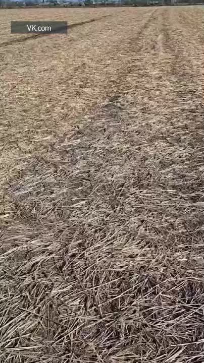 � ���������� ������� ����������� ������ � ����������� � ����� ���� ������ ���� � �����