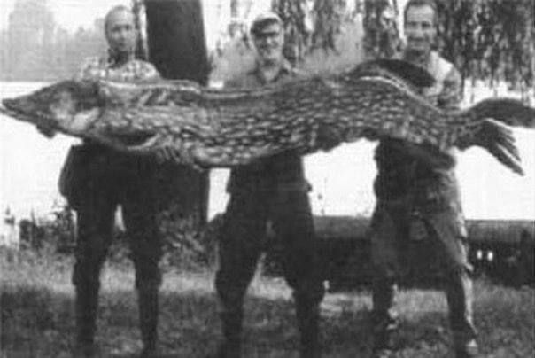 ����� ������� ���� � ������ ������� � ����� ������� � 1930 ����