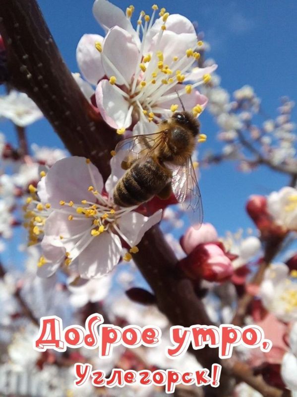 Сергей Захаров: С добрым утром вторника!