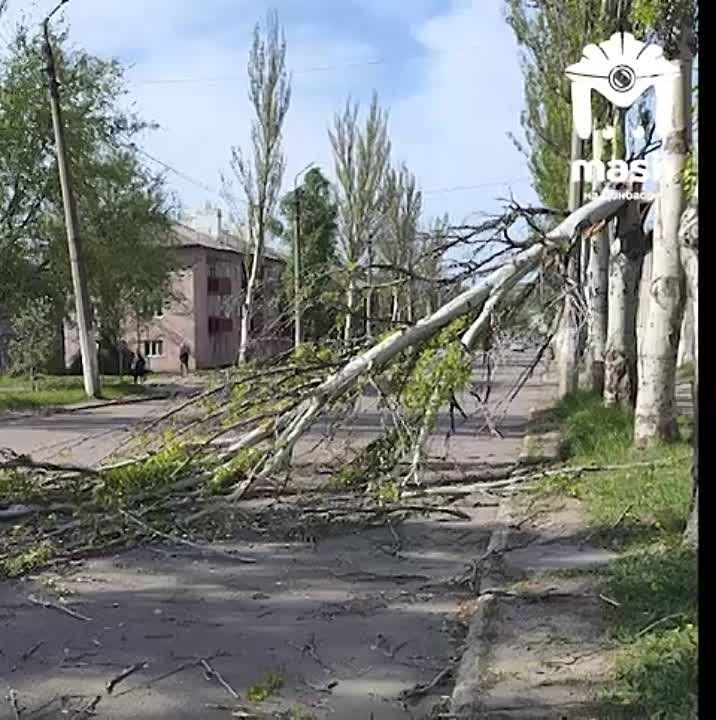 "�� ��*, �� ��*, �� ��* � �������� ����� �� ����"