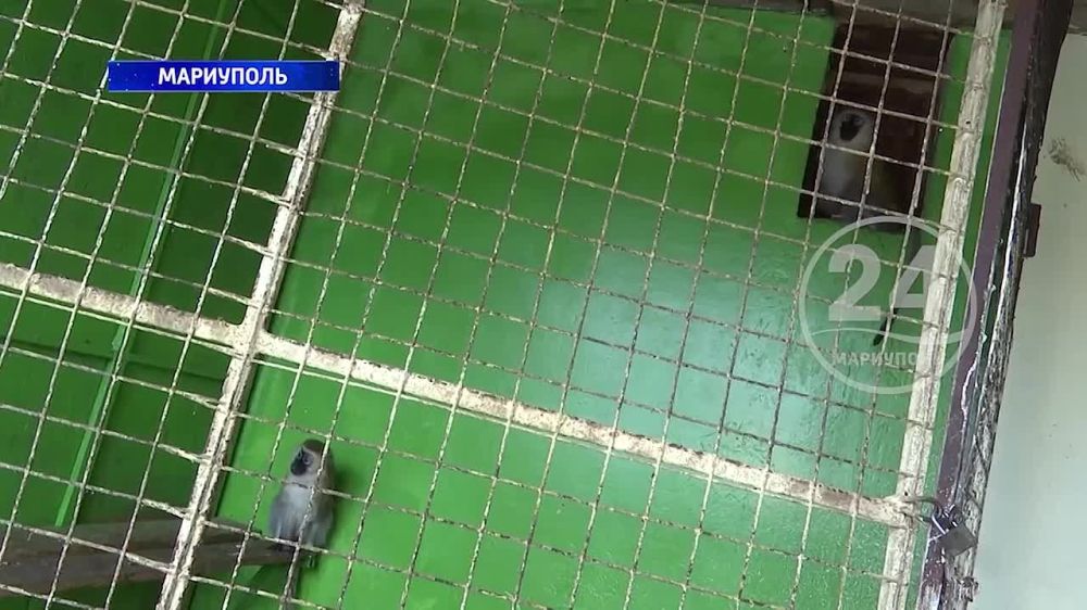 ������������� ������� ���������� ������ �����������! 17.04.2024