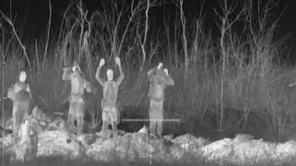 ������ �������: ����������� ������ ����������� ��������� ����������� ��������-��������� ������� ���������� ���� �������� � ����� � ���� ������� �������������� ��� �� ����������� �����������