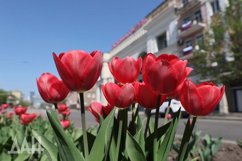 �������� �������� ������� �����, 17 ������