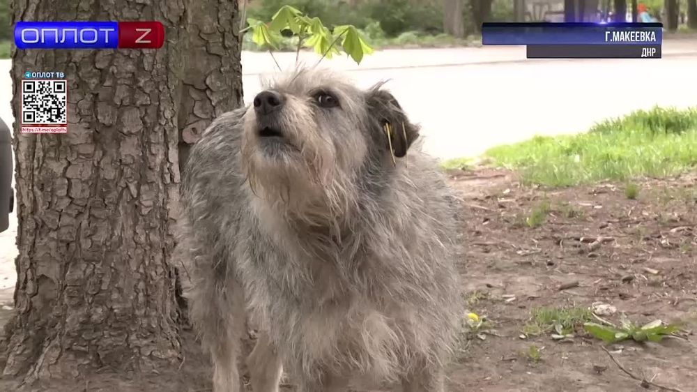 ������������ ������ �� ���� ����������� � ����������� ����� ��������