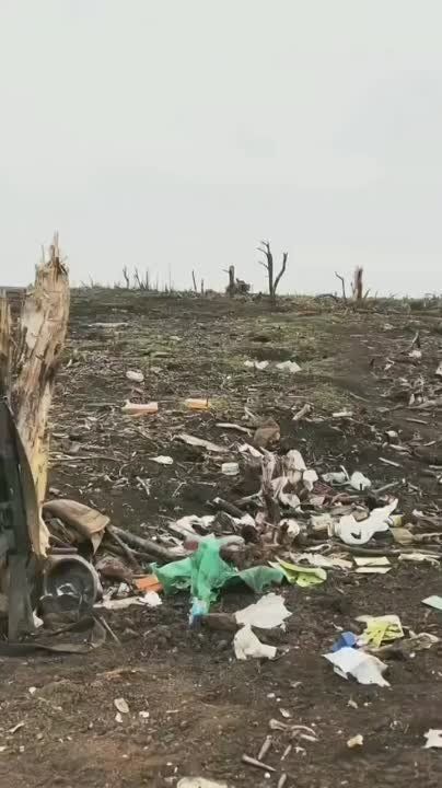 ������ �������: ������������ ������������ ���������� ������������ �� ��������� �������� ���������� ����� �.�