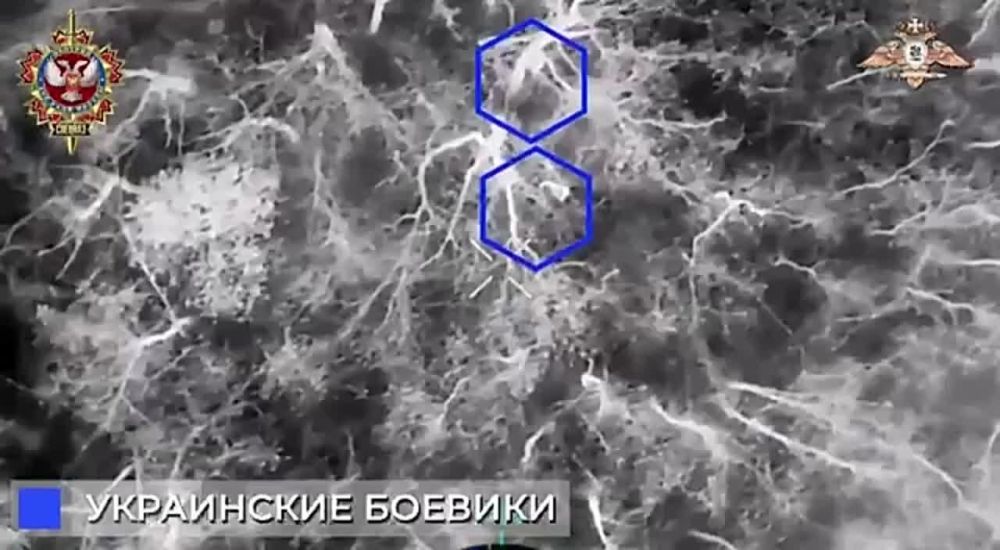 ������� �������: ���������� ��������� �������� ���������� �� ������ ���������� �������� ����������, ����������� ����������� �� ����� ��