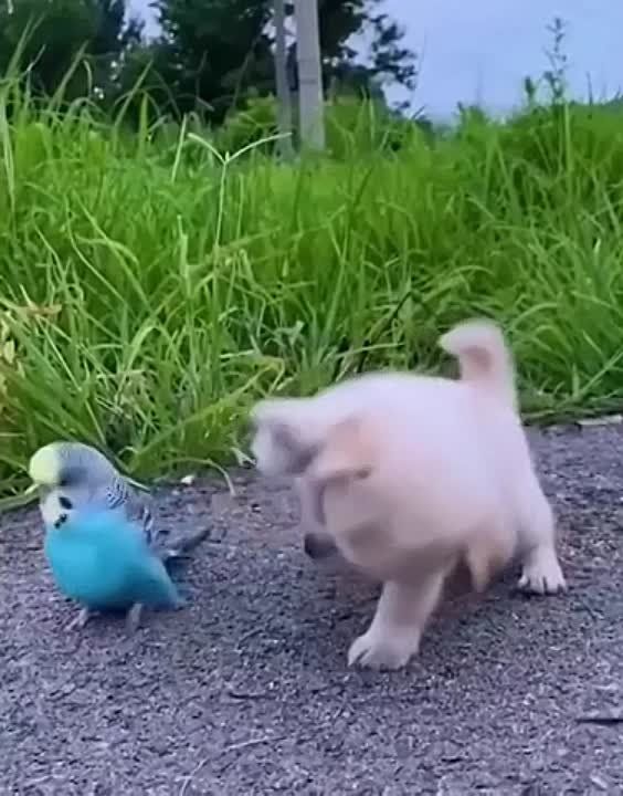 � ������ �����, ���������!