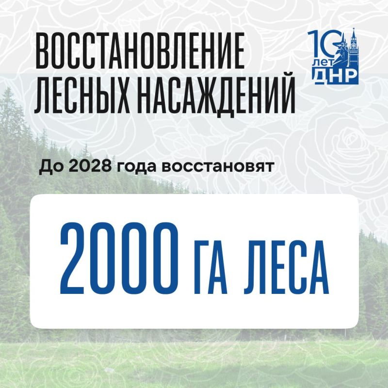 2000 �������� ������ ���������� ����������� � ��� �� 4 ���� � ��������� �������� ����������