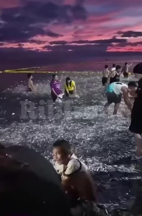 � ������������� ��������� ��������� ����� ����� ������