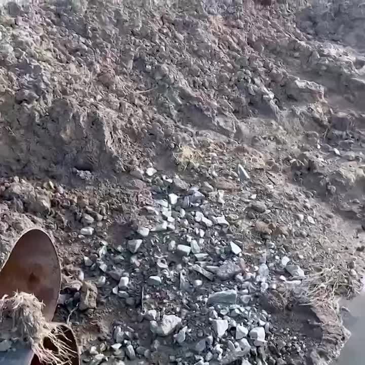 ������� �������: ������ ����� - ���� ��������� ������-���������� ������