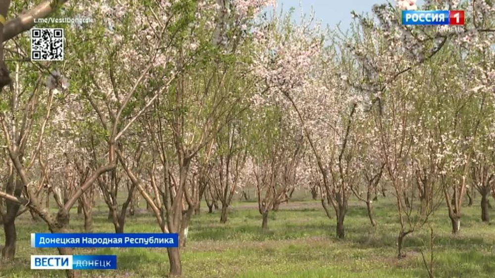 � �������� �������� ���������� ����� �������� ���������� ���