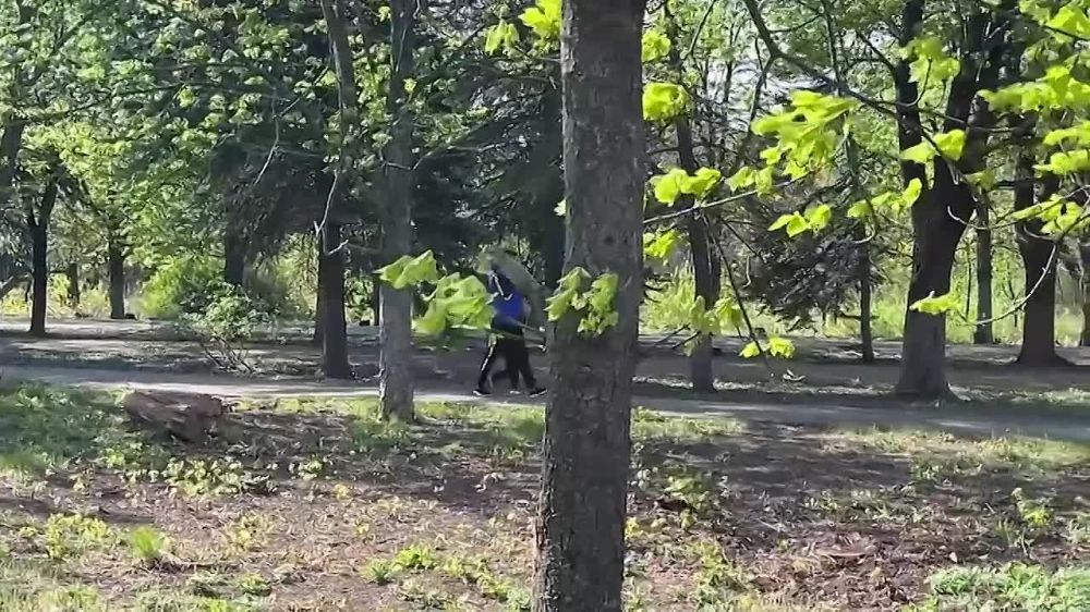 ���������� ���� ������������ ����������� ���� � ��������� �����������