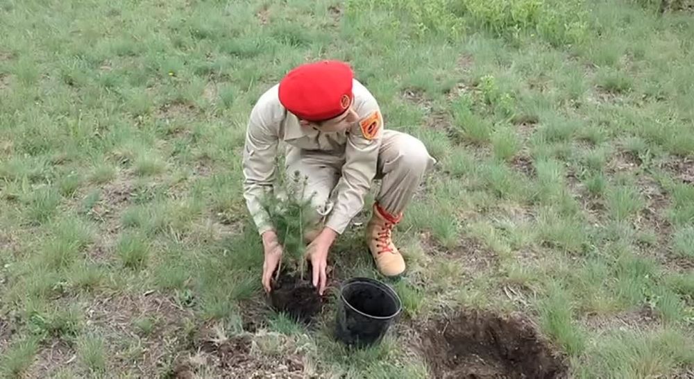 ��������� � ������ ��������� �������� ���� ������