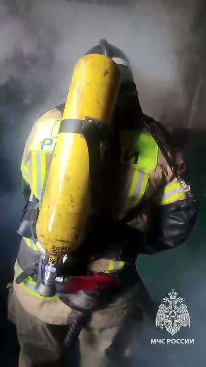 ���������� ��������� ������������ �������� ������� �� ����� ������ � ��������������� ����