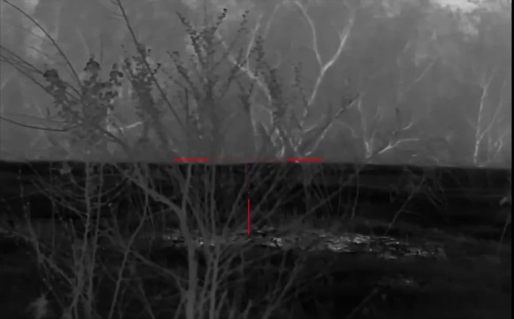 ����� �����: �������� 98-� ����������� ������� ��� �������� � ������ ����� ���