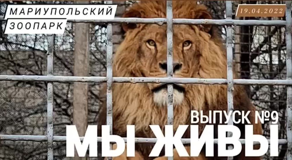 ������� �������: ������������� ������� - ��� ��� ����: