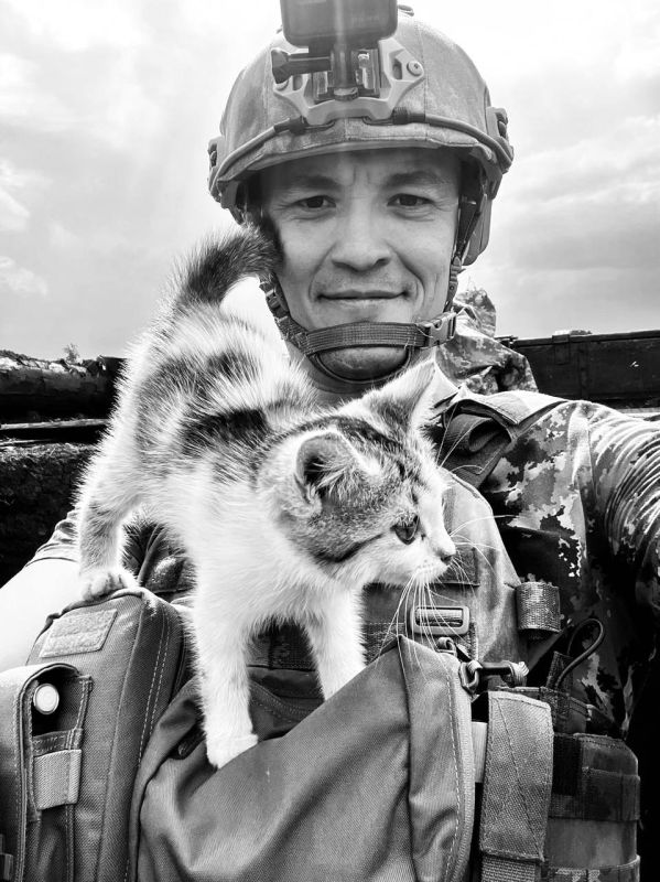 ���� ����� - �������� �������������, ������������� ����������� ��������� � ��-���������� ������ ���� ��������