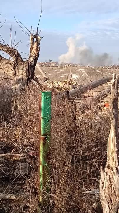 ������ �������: ������� ��������� ������� ���������� ������������� �� ���� "����" � ������ ����������� �� �������� �����������